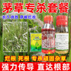 顽固茅草游草芦苇专杀套餐除草剂死根灭草剂一年生禾本科杂草专用 商品缩略图1