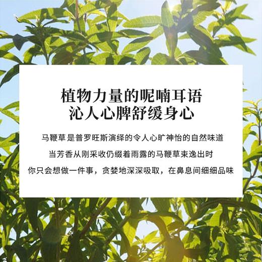 【保税】欧舒丹(L'Occitane)清新马鞭草香氛沐浴啫喱250ml 商品图2