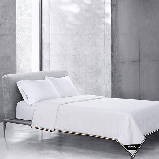 BOSS 提花蚕丝被HBCS-009 商品图0