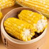 【云南水果玉米5斤装】果穗饱满 果穗饱满 鲜嫩爆汁 商品缩略图4