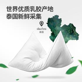 佳奥（JAGO） 泰国天然乳胶枕头90%天然乳胶波浪颗粒乳胶枕按摩枕头成人单枕X 单只 乳胶枕