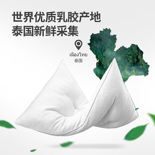 佳奥（JAGO） 泰国天然乳胶枕头90%天然乳胶波浪颗粒乳胶枕按摩枕头成人单枕X 单只 乳胶枕 商品图0