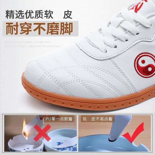 太极鞋软皮牛筋底武术训练鞋男款女款透气太极拳练功鞋 商品图3