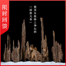 活体香雕丨天然海南沉香虫漏品香料 SP11574