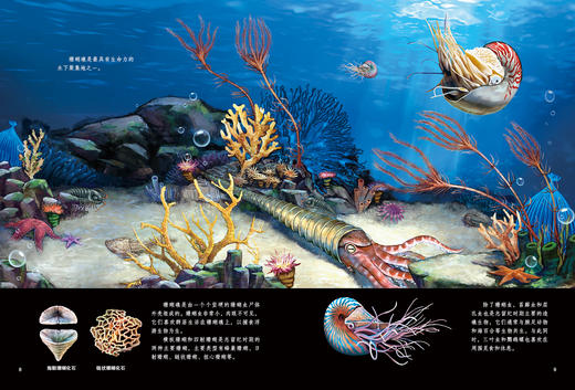 《生命简史：穿越地球46亿年》（全12册） 商品图6