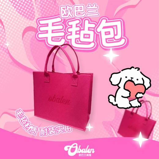 毛毡包 商品图0
