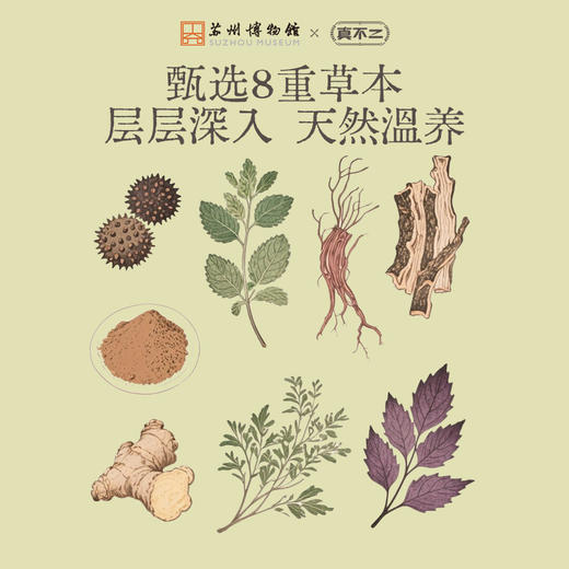 【苏州博物馆×真不二】新品菖蒲路路通手腕贴（5片/盒） 商品图4