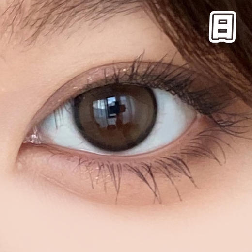 #斑比鹿 棕 14.2mm 8.5基弧【10片装】国产镜片 / 日抛 商品图1