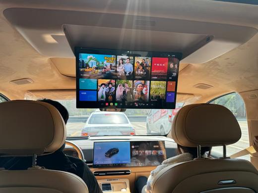 2025年度岚图市内包车&长城旅游包车（八达岭 慕田峪）-京B牌照，双合格，可进景点 商品图6