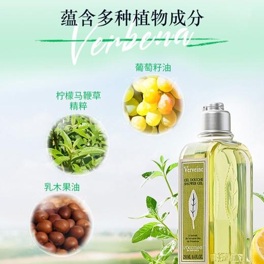 【保税】欧舒丹(L'Occitane)清新马鞭草香氛沐浴啫喱250ml 商品图3