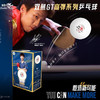 双鱼GT40+高弹三星球高弹性白色乒乓球6个盒装成人训练比赛乒乓球 商品缩略图0