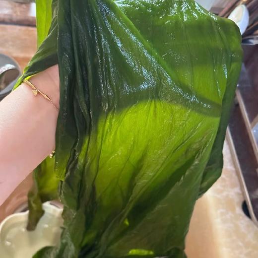 【山&姆、胖&来】在售的双有机海带，一箱一码，非人工养殖，深海自然生长，新鲜采摘，入口嫩滑，味道鲜美，2.5kg(5斤装) 商品图4