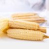 🌽西双版纳香糯小玉米🌽非转基因，既糯又甜的珍珠小玉米 商品缩略图3