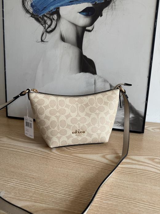 代工厂捡漏随时下架蔻c*老花月牙饺子包 商品图5