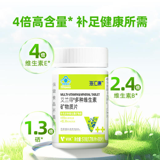 海汇康多种维生素矿物质片 蓝帽认证 8大B族 7种矿物质 12种维生素 商品图1