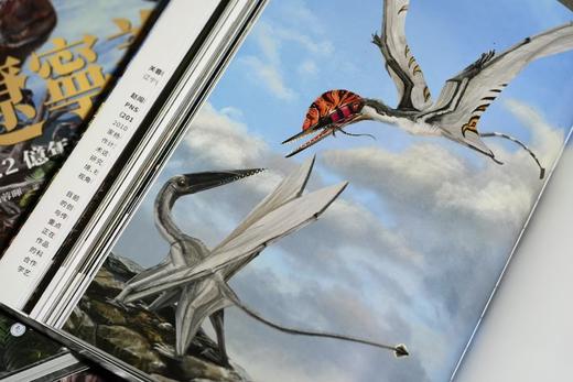 新书 官方微店《辽宁美：1.2亿年前的生命奇观》 商品图3