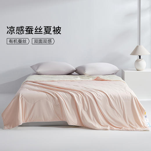 佳丽斯空调蚕丝芯双面缎面桑蚕丝夏空调被 商品图10