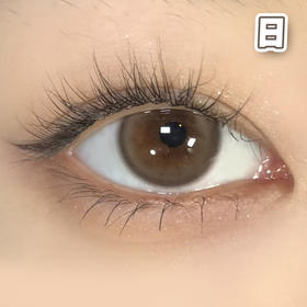 #奶油团子 棕巧 14.2mm 8.5基弧【10片装】国产镜片 / 日抛