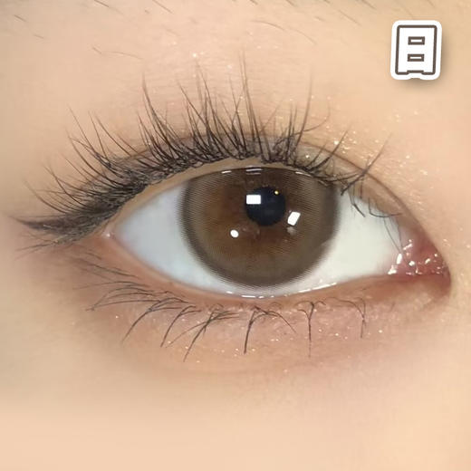 #奶油团子 棕巧 14.2mm 8.5基弧【10片装】国产镜片 / 日抛 商品图0