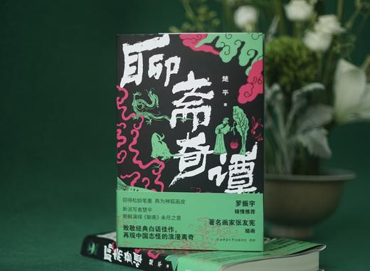 聊斋奇谭 楚平 著 罗振宇 推荐 新派写者新鲜演绎《聊斋》未尽之意 商品图1