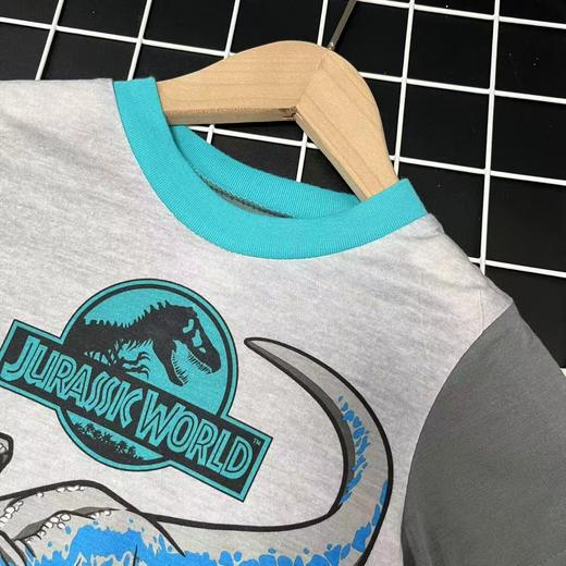 【选2件15元-NO退】4恐龙灰蓝卡通短袖-微脏-喜出 商品图1