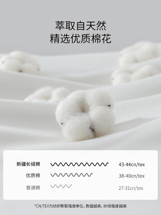 佳丽斯60支纯棉四件套床上用品2025新款 商品图2