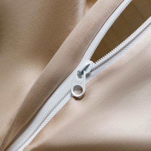 BOSS 天丝棉贡缎四件套（香槟金）HBTSM001 商品图4