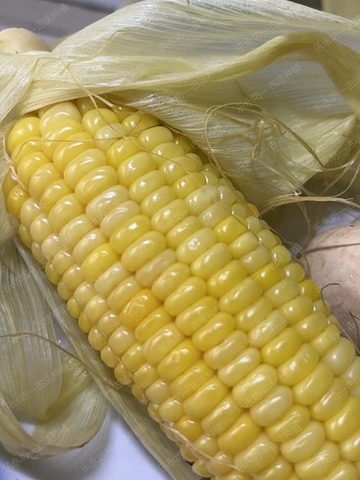 湖南自然农法蔬菜系列 （蔬菜包由农场自主搭配，请注明不要的菜，如：不要辣椒） 商品图5