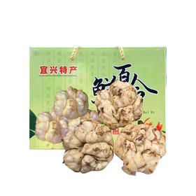 【宜兴】鲜百合3斤左右（中大果）