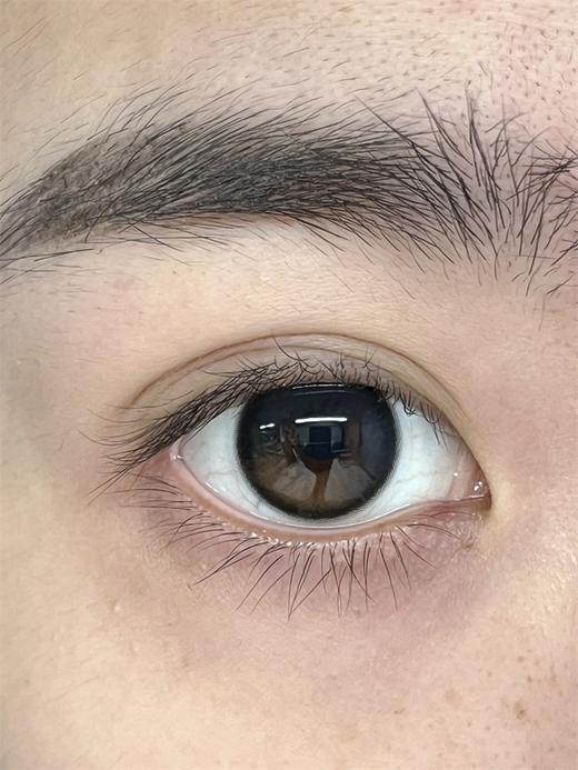 Bariecat日抛 · 小甜酒&小金桔· 14.2mm白狮参考着色中等直径 · 十片装 商品图1