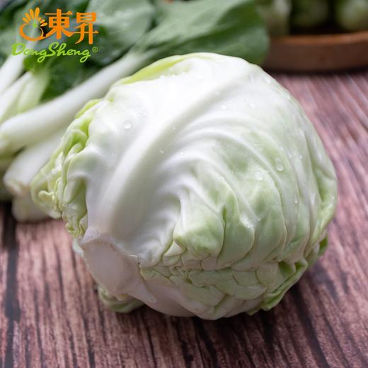 东升农场 有机水果甘蓝 青椰菜 蔬菜沙拉 有机蔬菜 广东配送 400g 商品图4