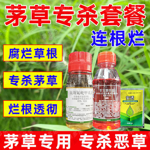 顽固茅草游草芦苇专杀套餐除草剂死根灭草剂一年生禾本科杂草专用 商品图0