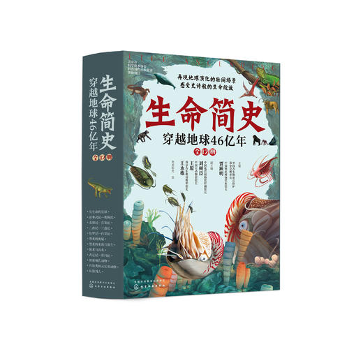 《生命简史：穿越地球46亿年》（全12册） 商品图0