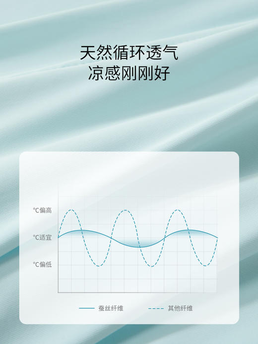 佳丽斯空调蚕丝芯双面缎面桑蚕丝夏空调被 商品图4