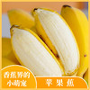 【广西苹果蕉】香味浓郁 果肉嫩滑 软糯香甜 商品缩略图1