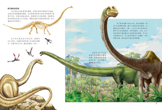 《生命简史：穿越地球46亿年》（全12册） 商品图11