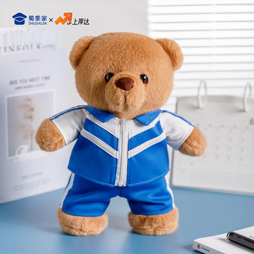 【实付满199送钥匙扣】【校服小熊】可定制创意毛绒小熊公仔儿童玩具服装可脱送礼学生礼物 商品图8
