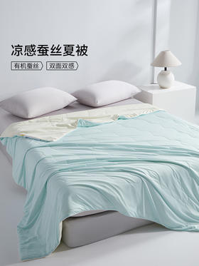 佳丽斯空调蚕丝芯双面缎面桑蚕丝夏空调被