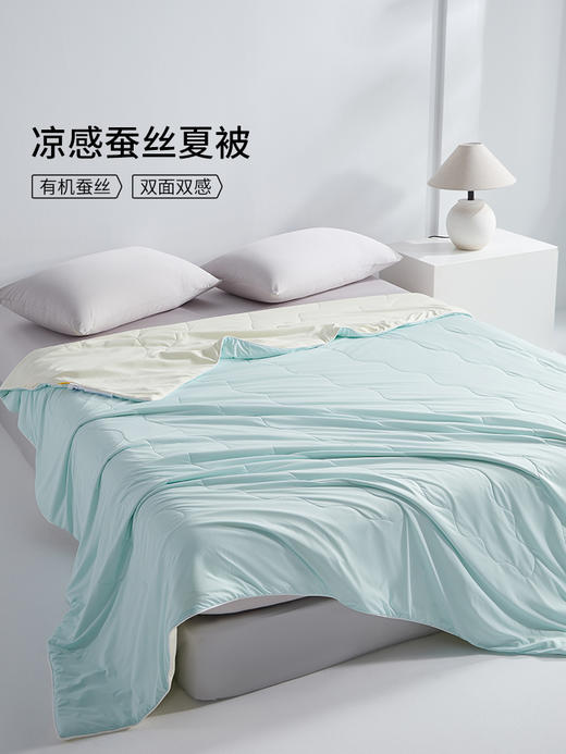 佳丽斯空调蚕丝芯双面缎面桑蚕丝夏空调被 商品图0
