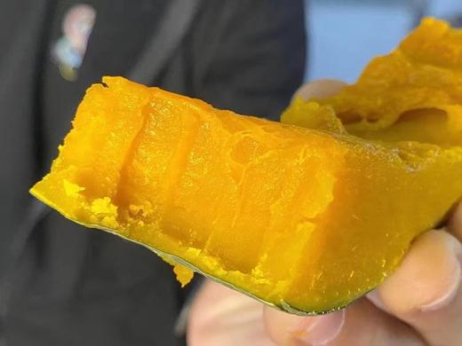 新疆贵族南瓜 商品图1