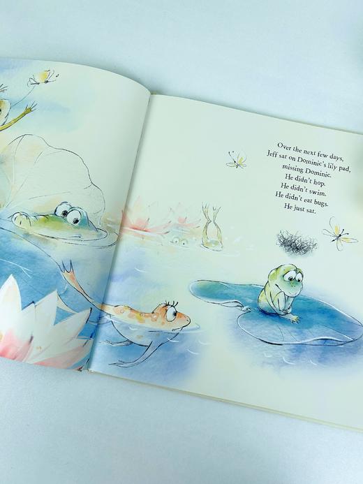 【Clavis】Jeff the Frog. The Lost Hop原版英文儿童绘本 商品图3