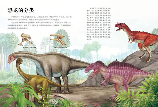 《生命简史：穿越地球46亿年》（全12册） 商品图12