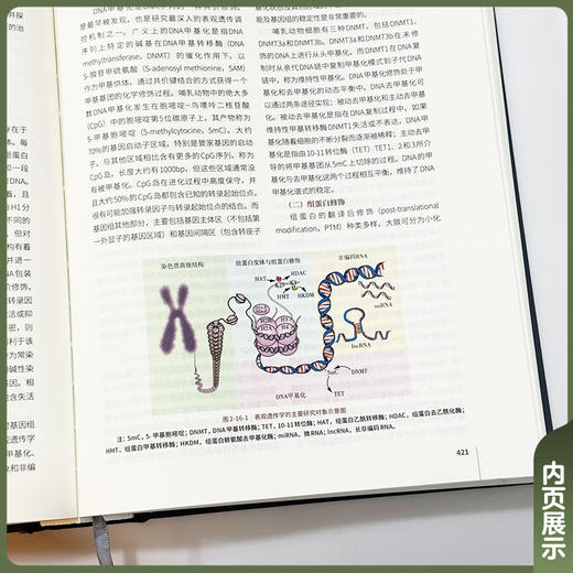 高血压理论与临床 刘力生 主编 一部全面反映现代高血压及相关疾病最新研究成果的专著 9787567926547中国协和医科大学出版社 商品图3