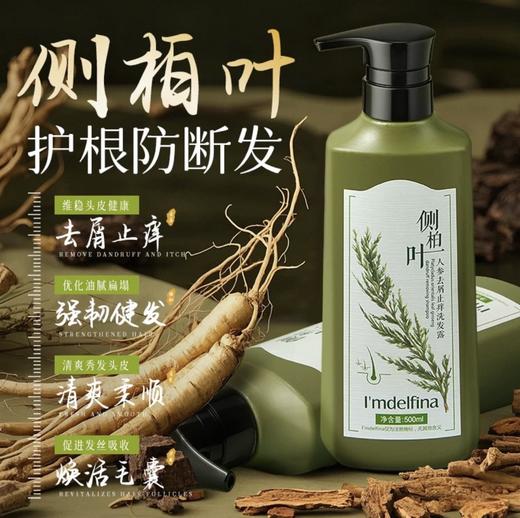 买一送一【侧柏叶人参去屑止痒洗发水 】清爽控油 去屑止痒 柔顺修护 莹润发丝 500ML大容量 商品图2
