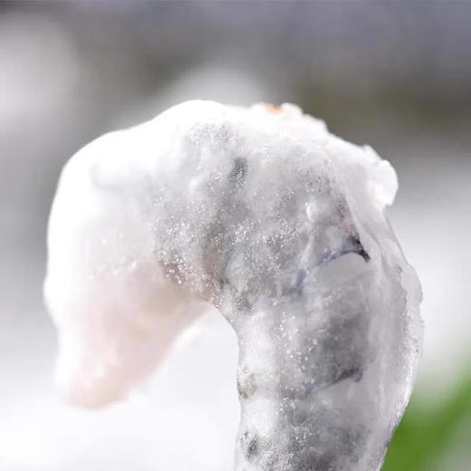 黑虎虾仁/份 冷冻虾仁 商品图4