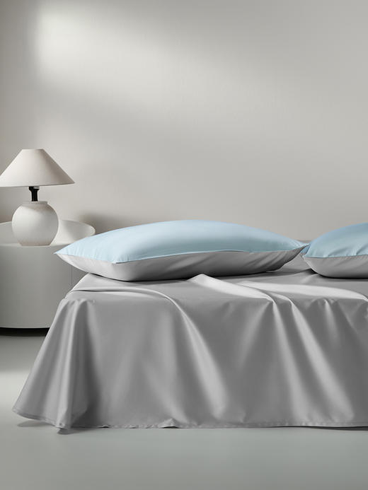 佳丽斯60支纯棉四件套床上用品2025新款 商品图6