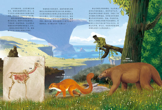 《生命简史：穿越地球46亿年》（全12册） 商品图9