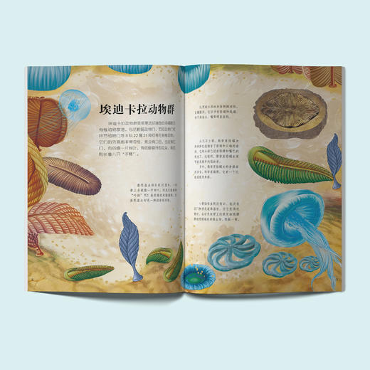 《生命简史：穿越地球46亿年》（全12册） 商品图3