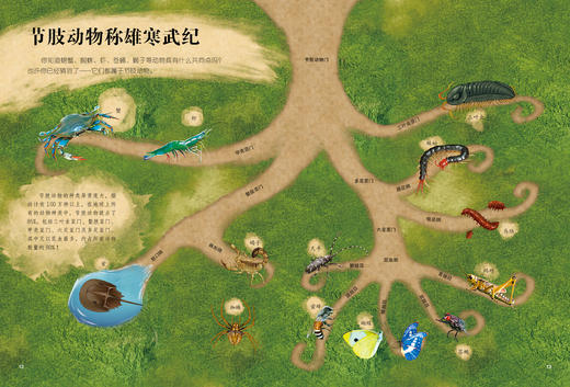 《生命简史：穿越地球46亿年》（全12册） 商品图8