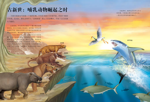 《生命简史：穿越地球46亿年》（全12册） 商品图13